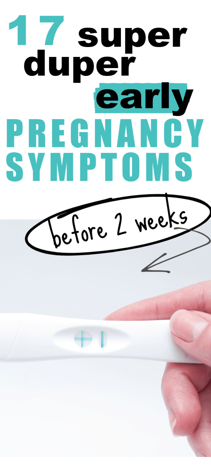 Early Pregnancy Symptoms Within The First 2 Weeks