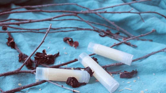 DIY Vegan Lip Balm: 3 Ingredient Healing Lip Balm