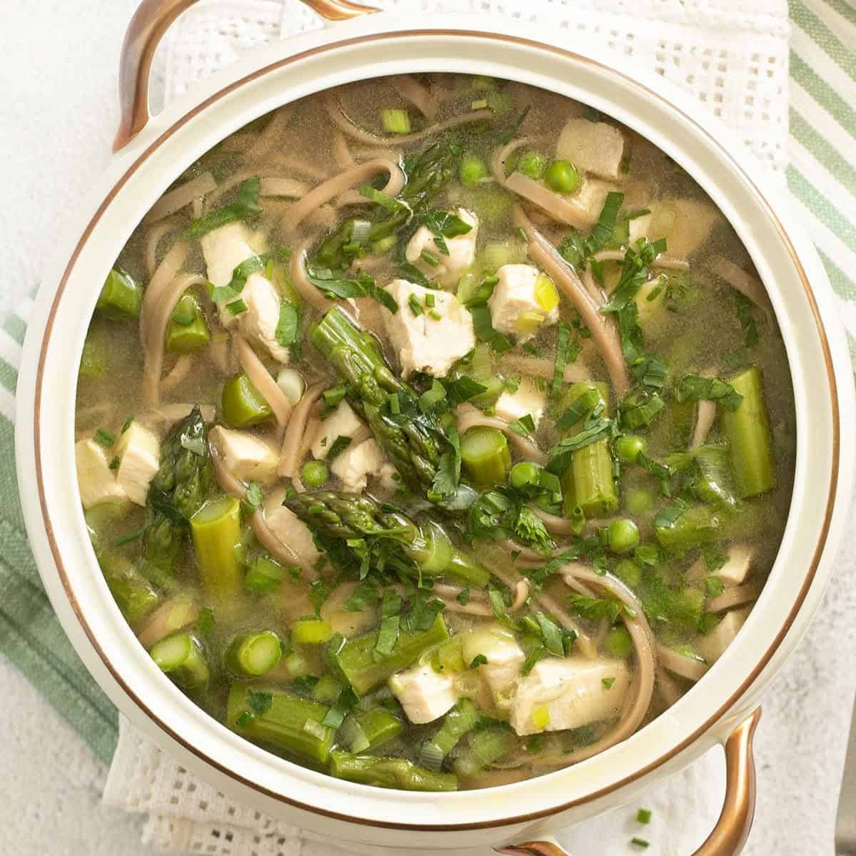 Asparagus Chicken Soup