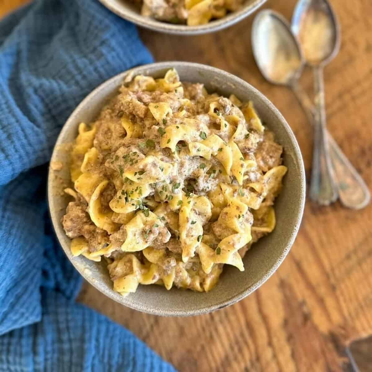 Crock Pot Ground Beef Stroganoff