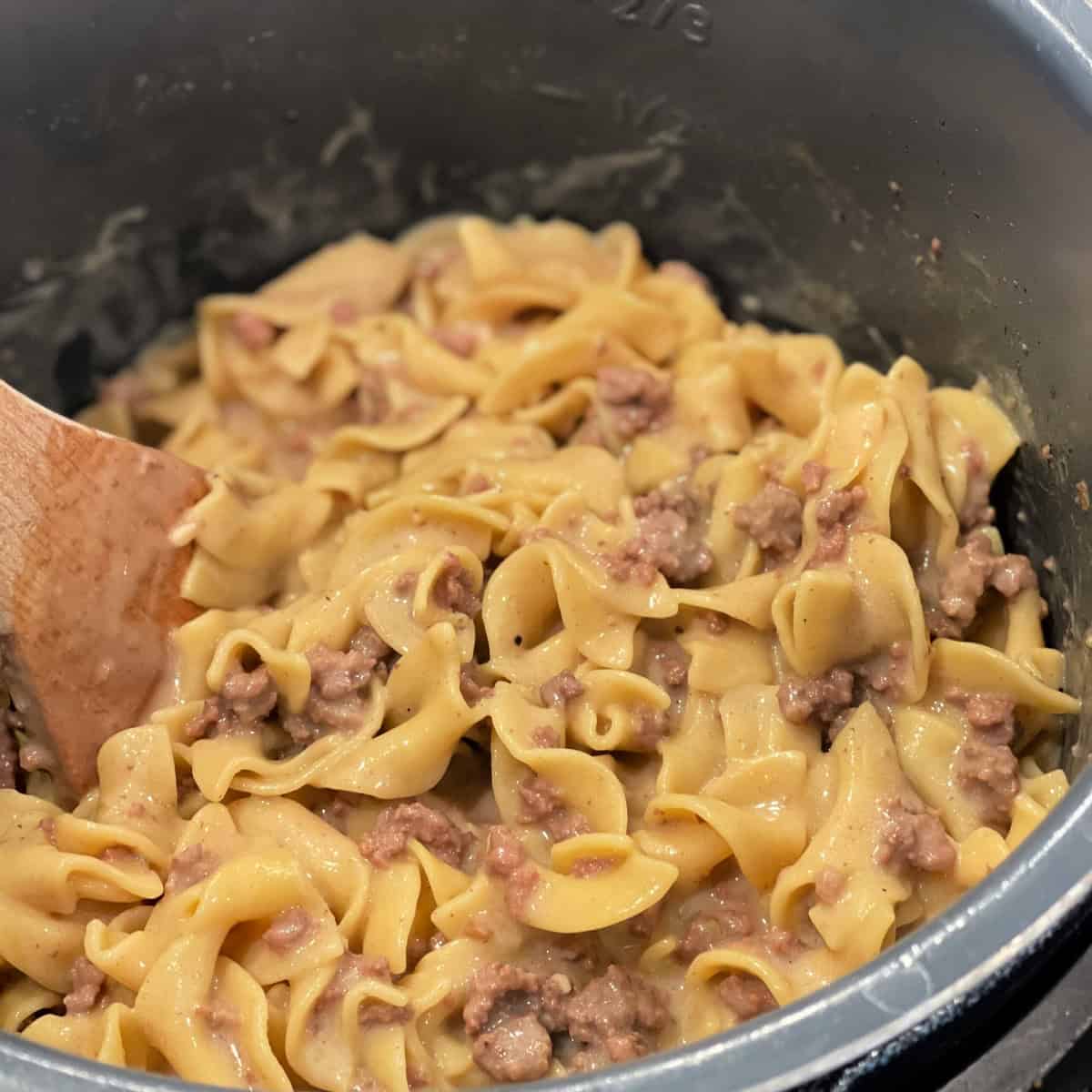 Instant Pot Beef Stroganoff