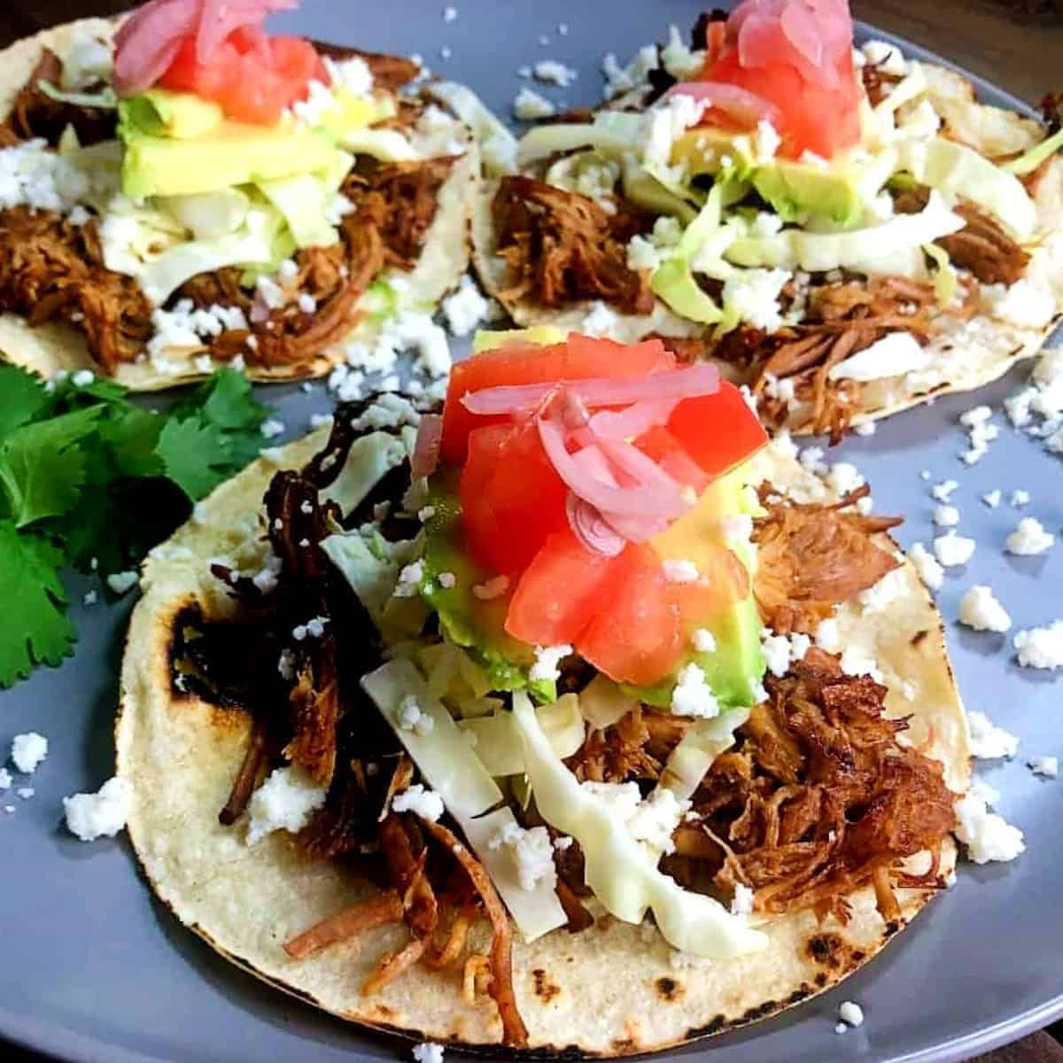 Instant Pot Carnitas