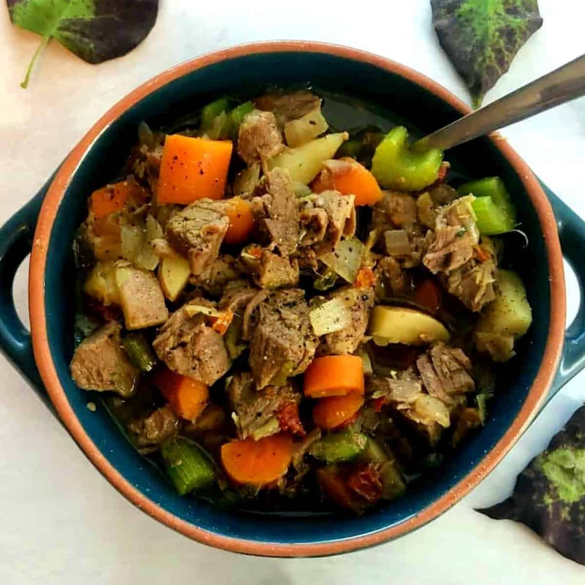 Instant Pot Frozen Beef Stew