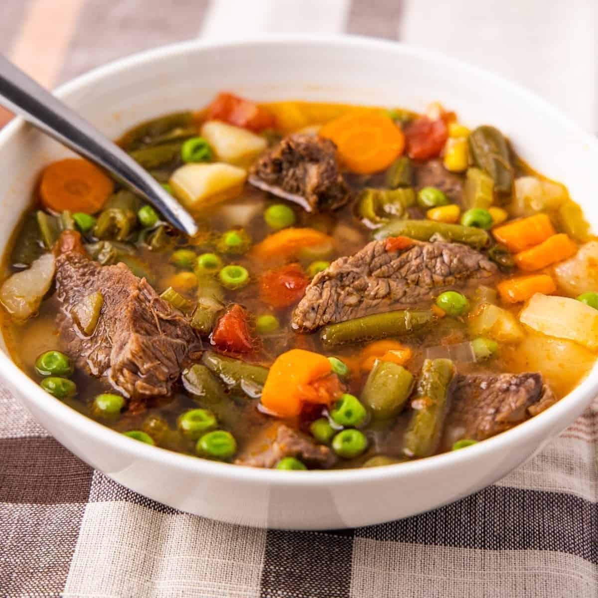 Instant Pot Vegetable Beef Soup