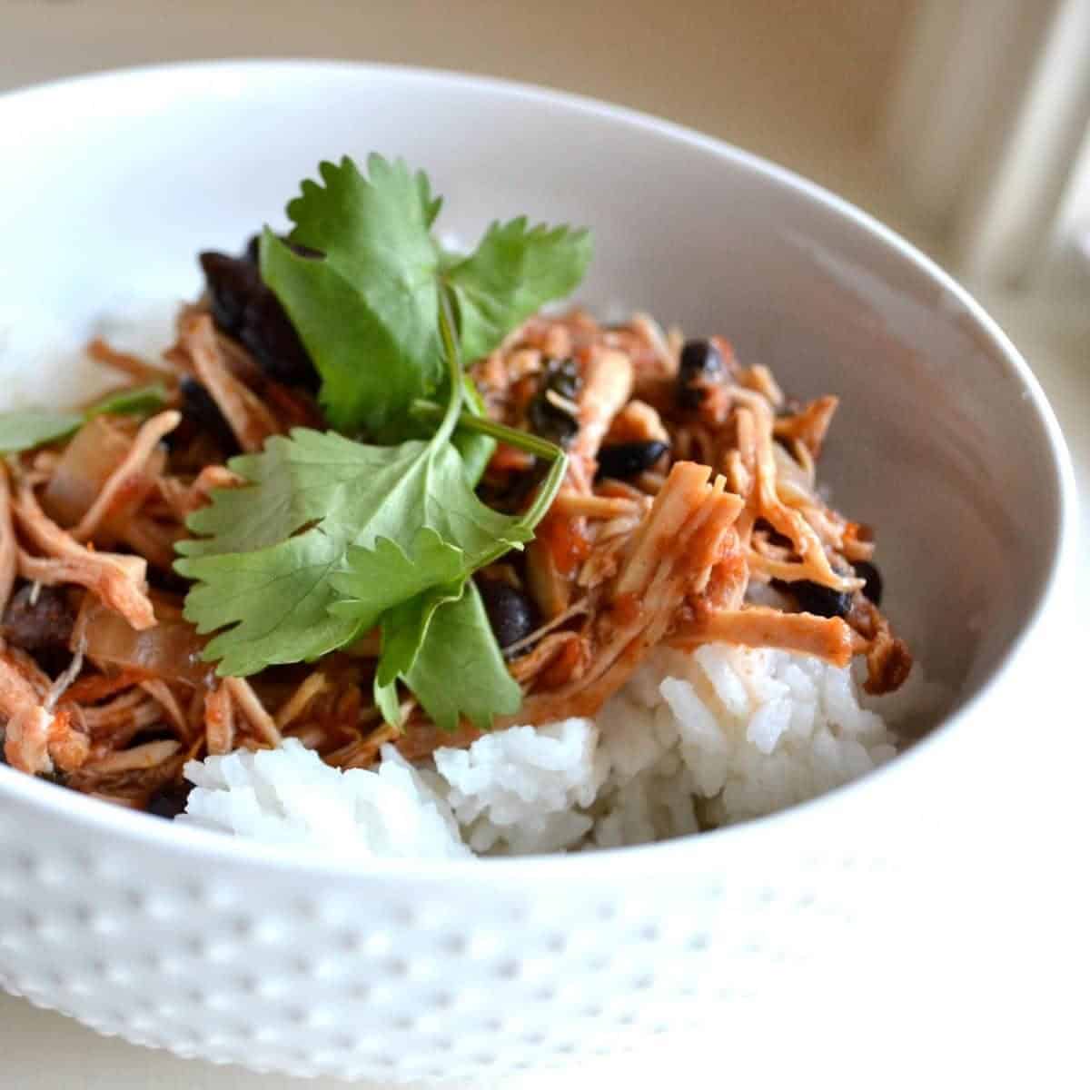 Simple Delicious Mexican Shredded Pork Crockpot