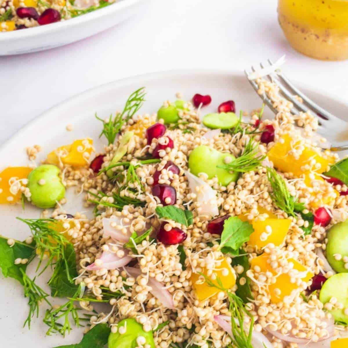 Broad Bean Sprouted Quinoa Salad