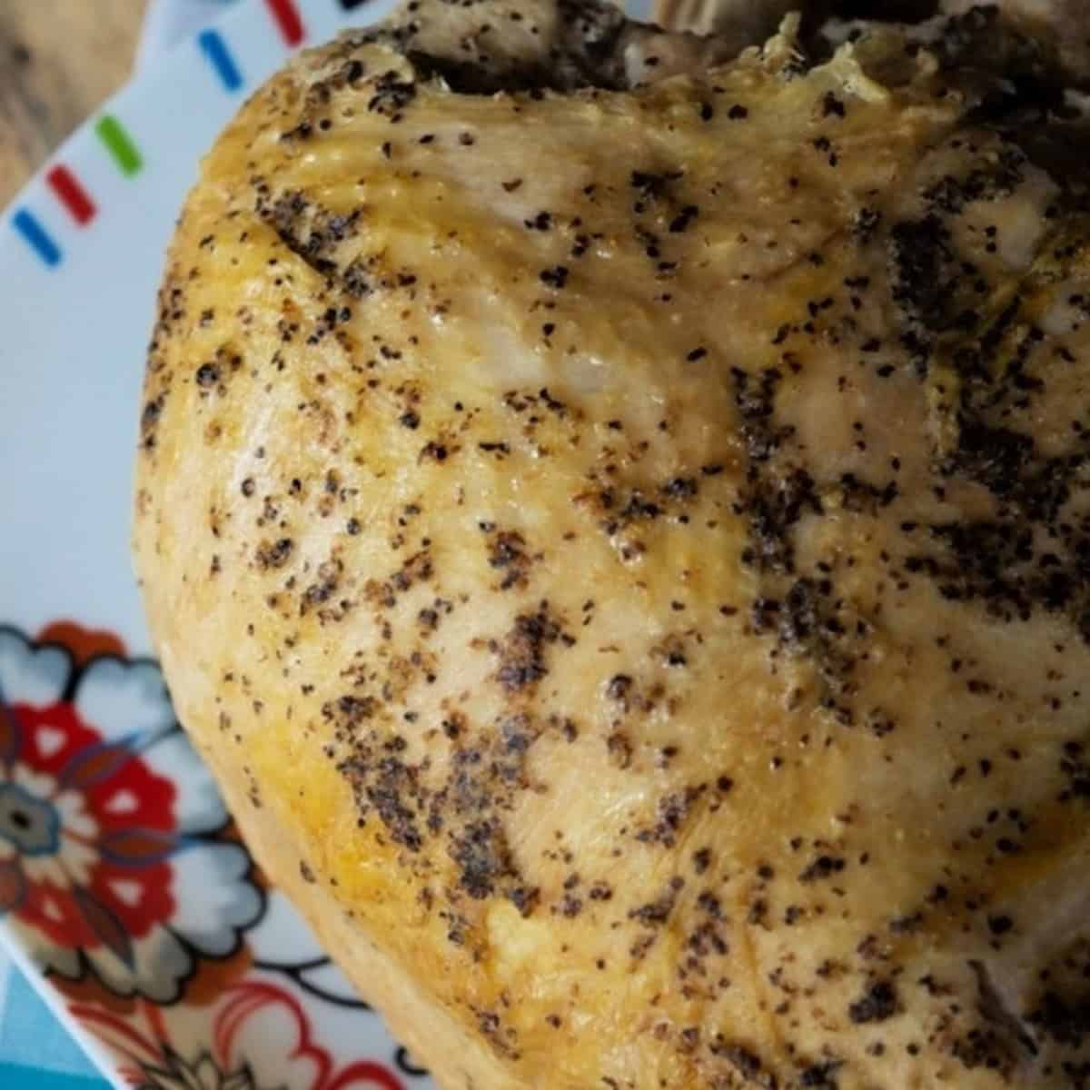 Crockpot Roasted Turkey Breast