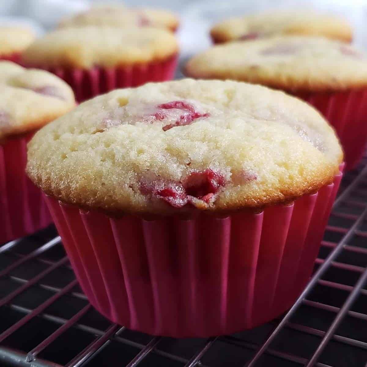 Easy Homemade Fresh Raspberry Cupcakes