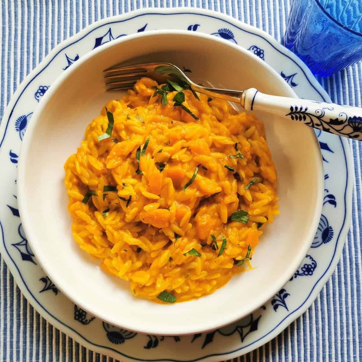 Risotto Style Pasta With Pumpkin