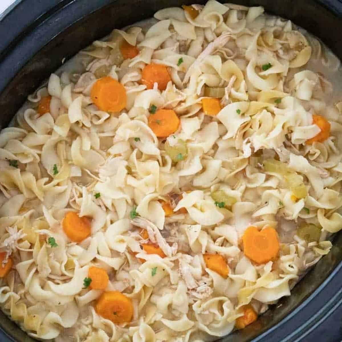 Slow Cooker Turkey Noodle Soup