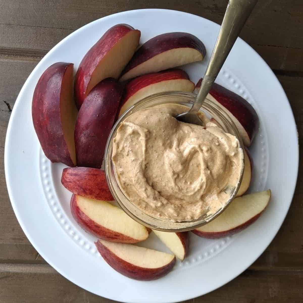 High Protein Peanut Butter Dip High Protein Peanut Butter Dip