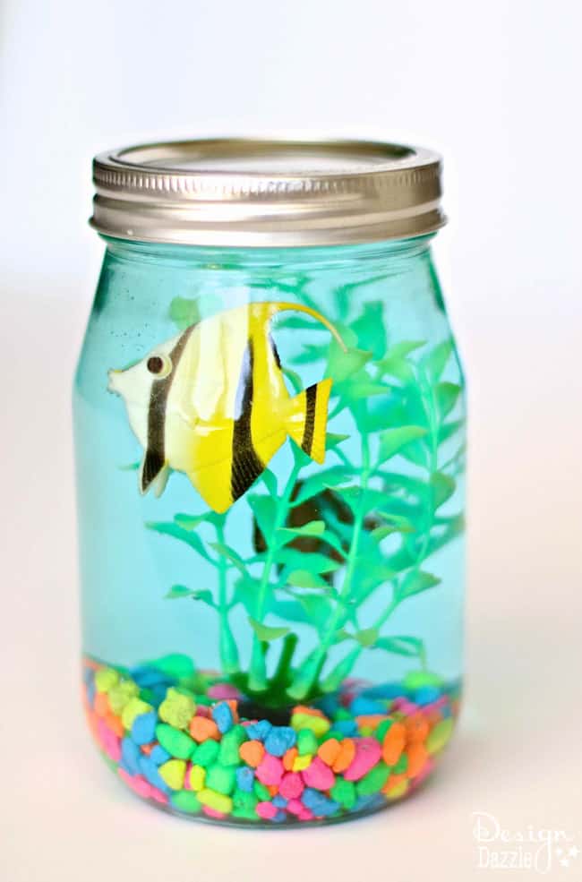Image for Mason Jar Aquarium