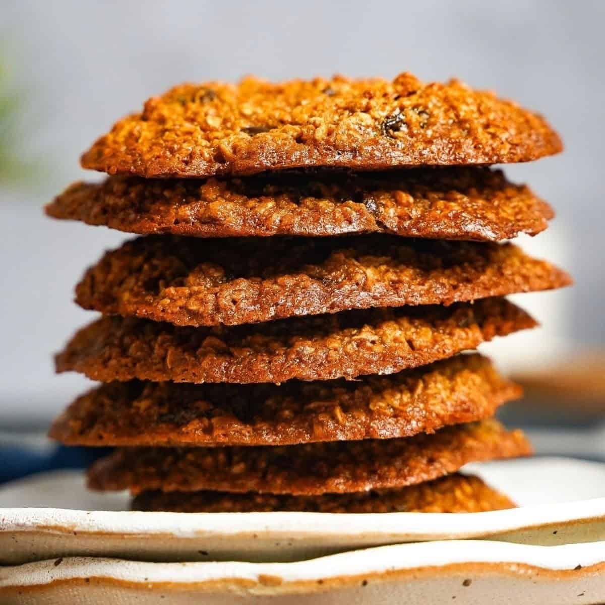 Oatmeal Raisin Protein Cookies Oatmeal Raisin Protein Cookies