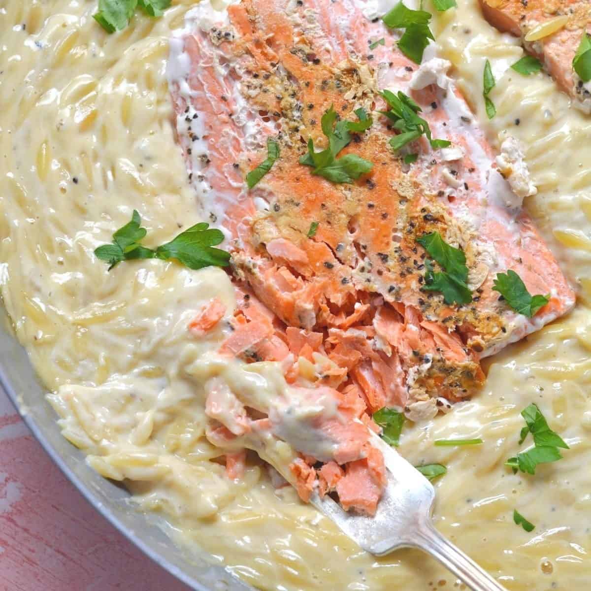 Orzo Citrus Salad Orzo Citrus Salad