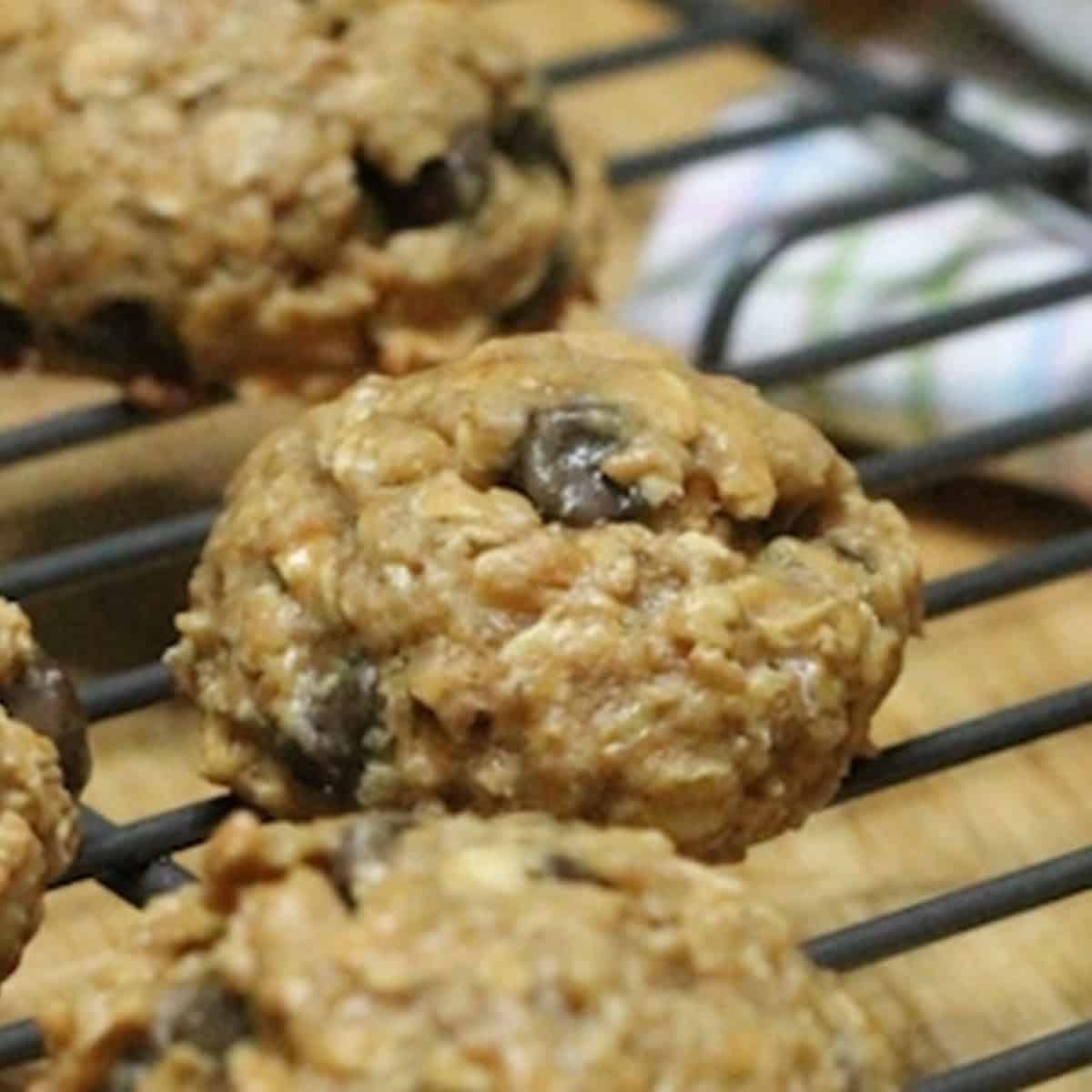 Peanut Butter Oatmeal Chocolate Chip Cookies Recipe Peanut Butter Oatmeal Chocolate Chip Cookies Recipe