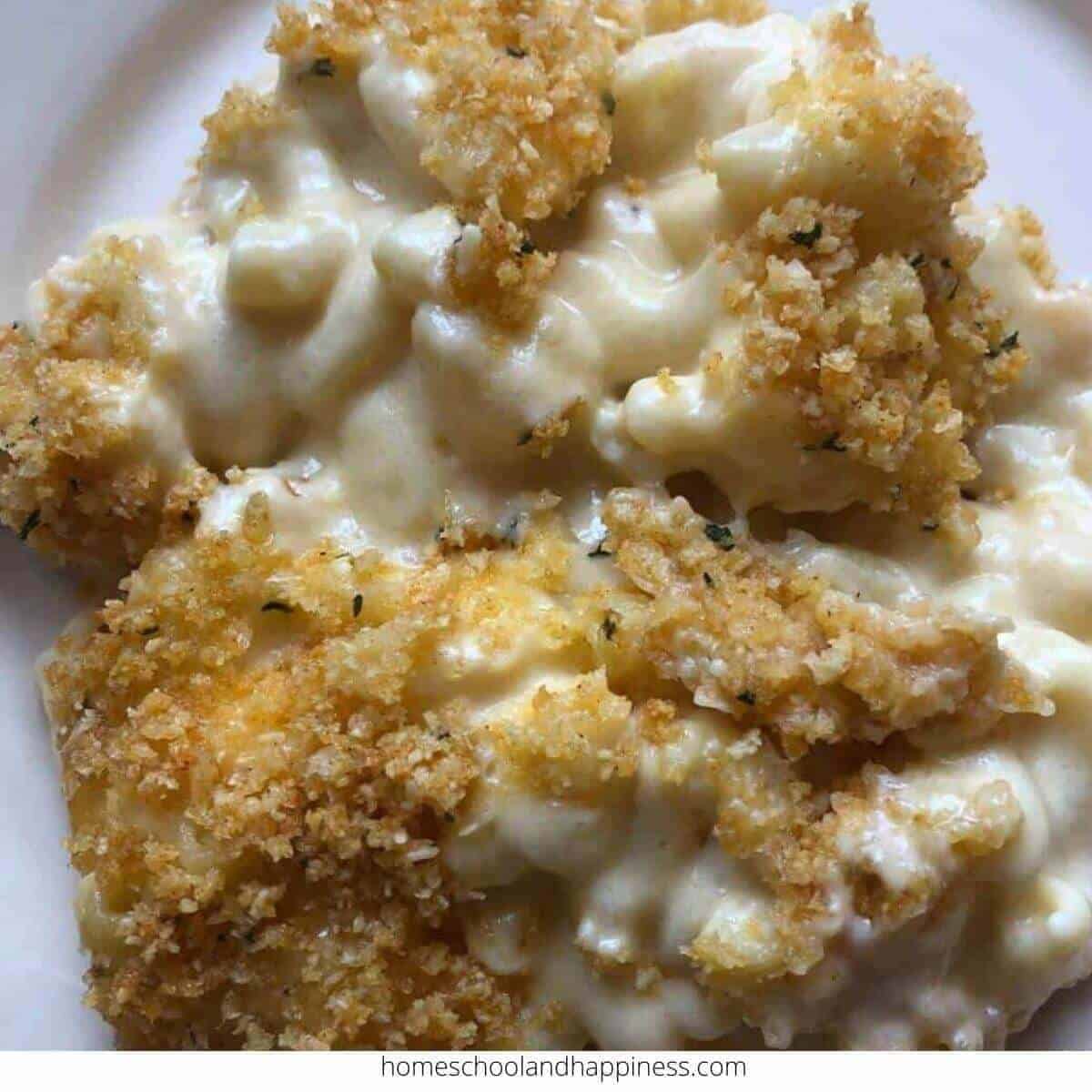 Baked Mac And Cheese Recipe Made With Panko Crumbs Baked Mac And Cheese Recipe Made With Panko Crumbs