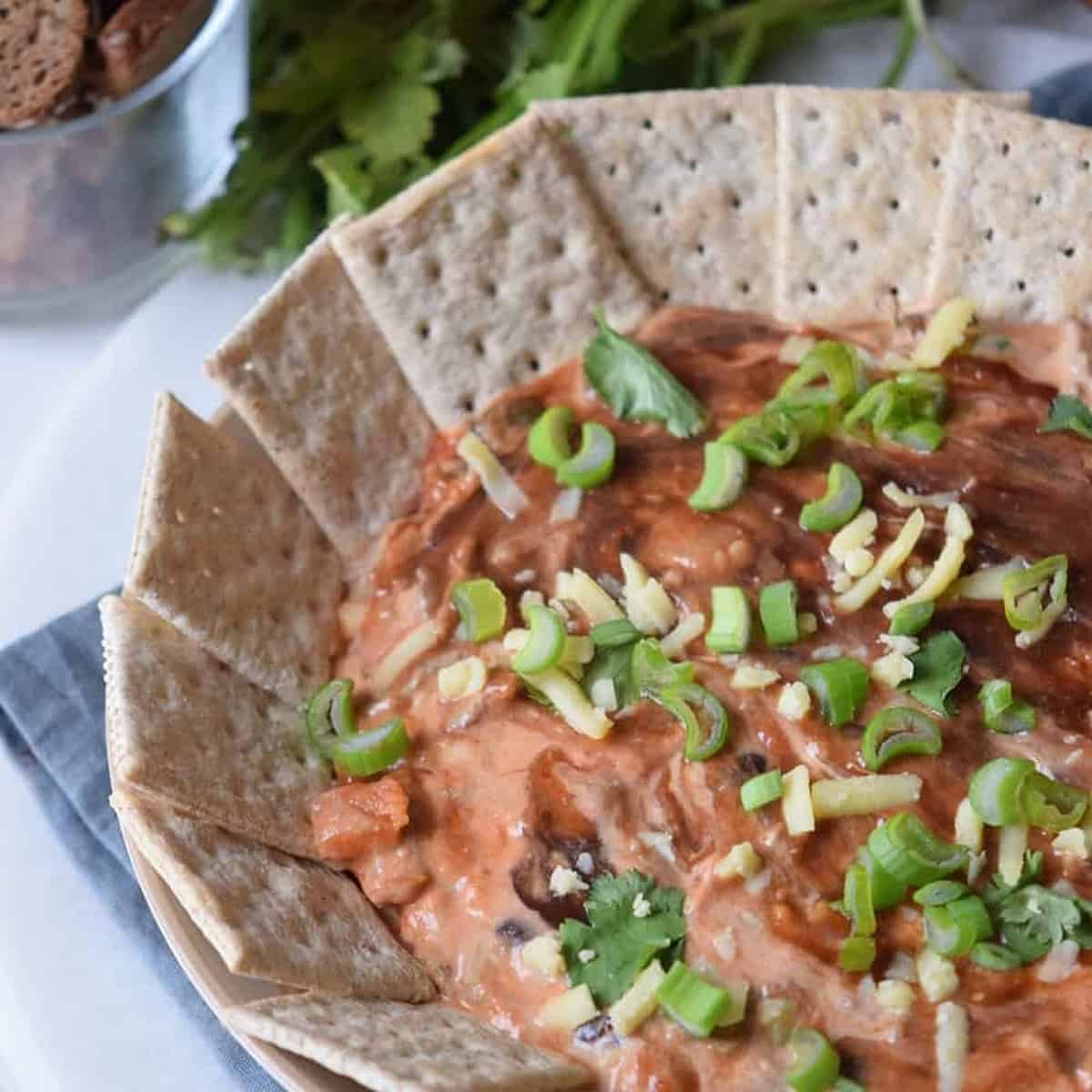 Bbq Chicken Dip Bbq Chicken Dip
