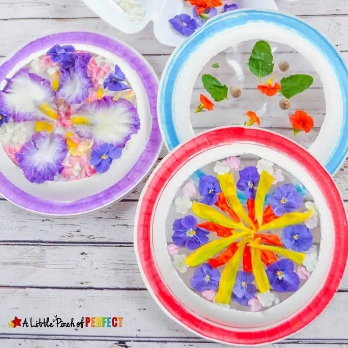 Beautiful Nature Suncatcher Mandalas Kids Craft Beautiful Nature Suncatcher Mandalas Kids Craft