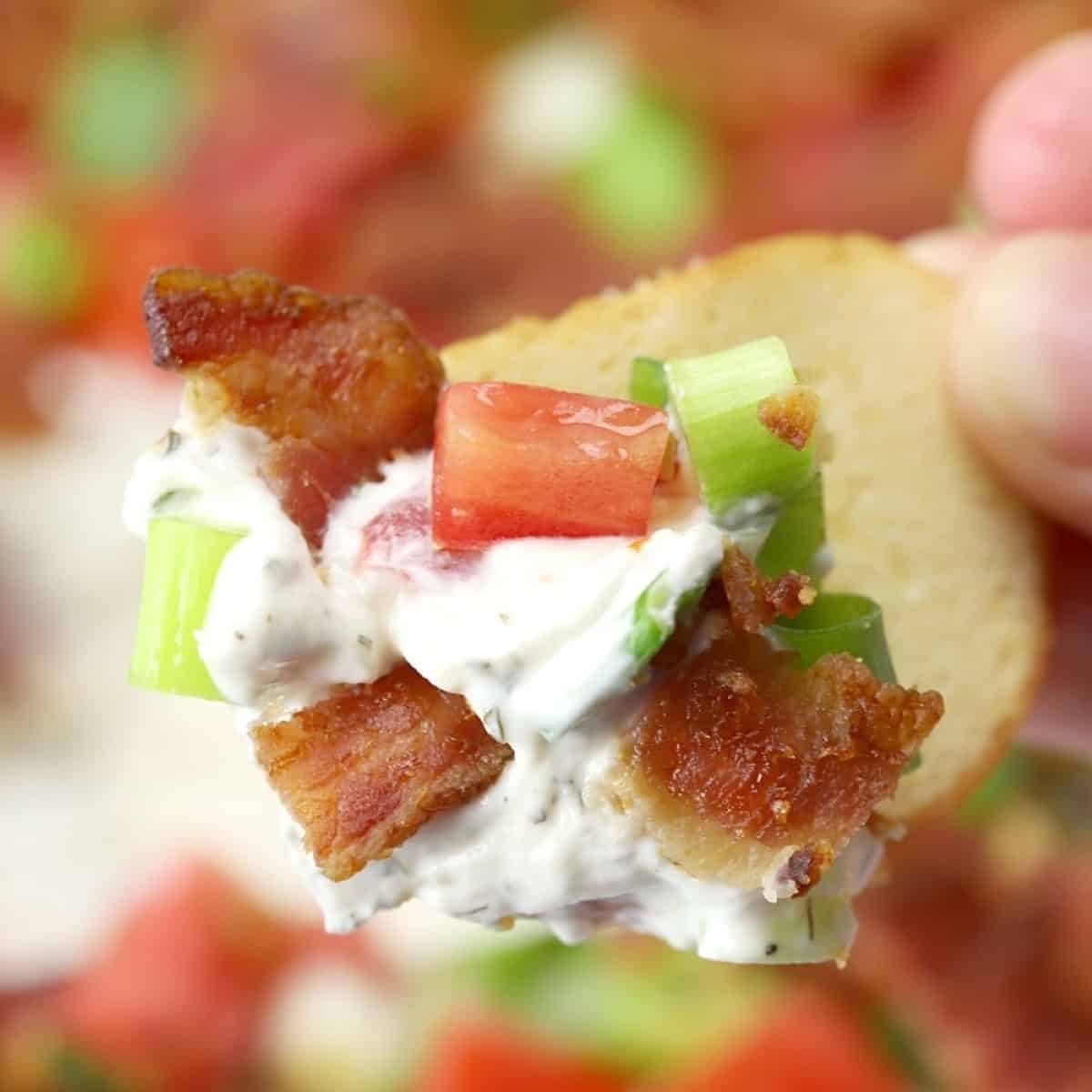 Blt Dip Blt Dip