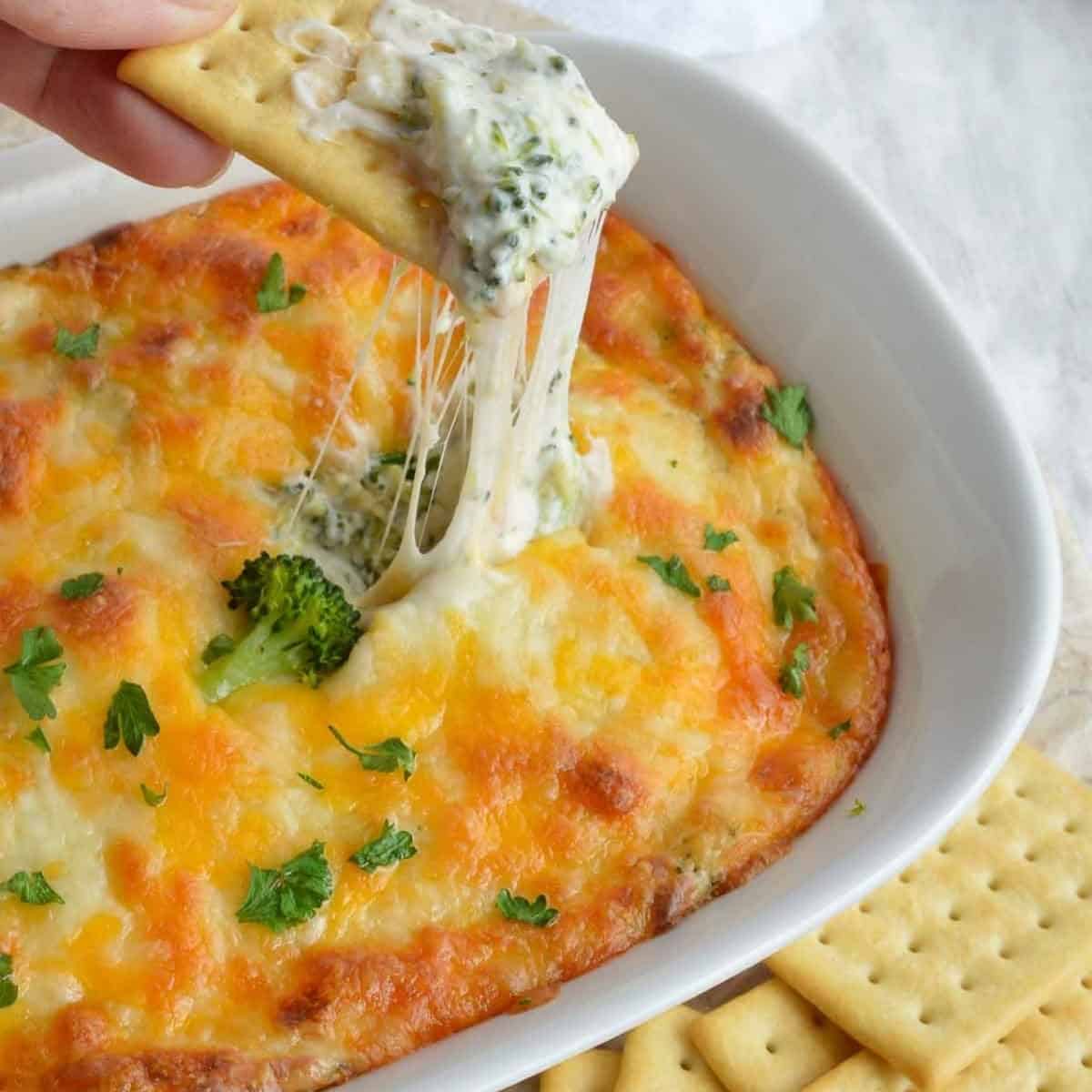 Broccoli Cheese Dip Recipe Broccoli Cheese Dip Recipe