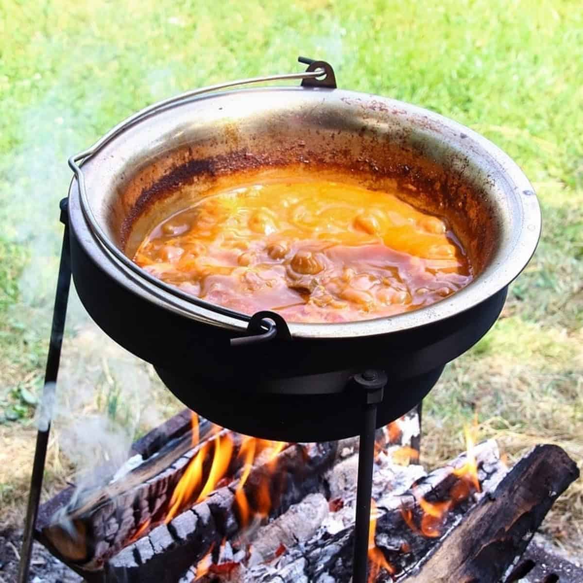 Campfire Stew