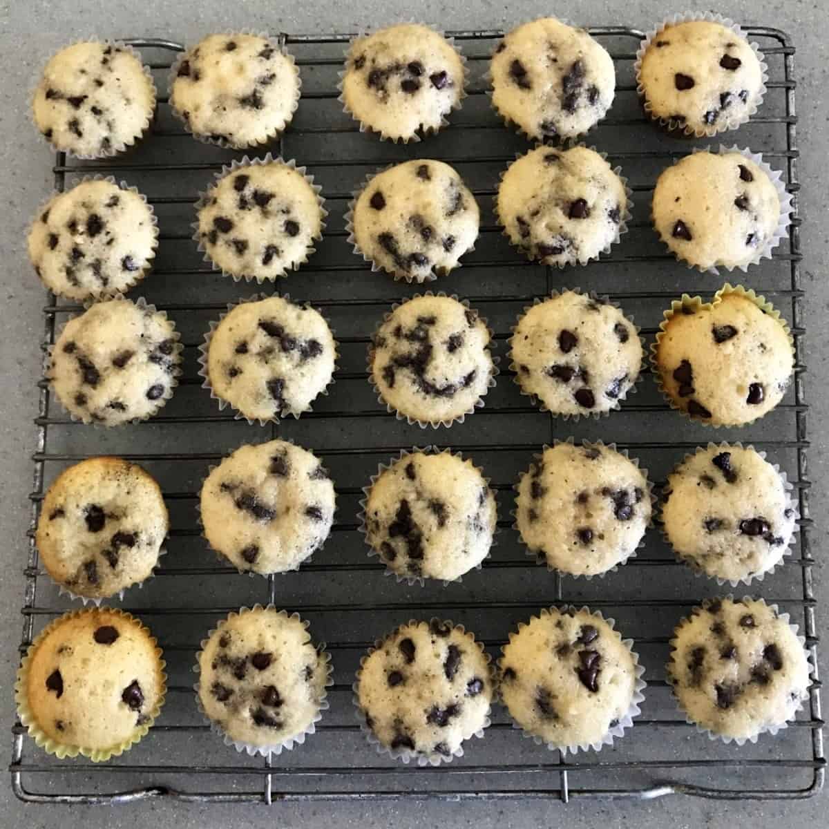 Chocolate Chip Mini Muffins