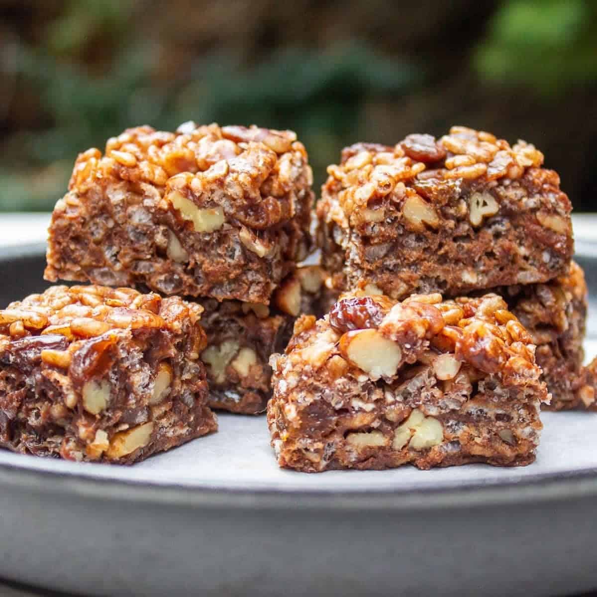 Chocolate Cranberry Rice Crispy Squares Chocolate Cranberry Rice Crispy Squares