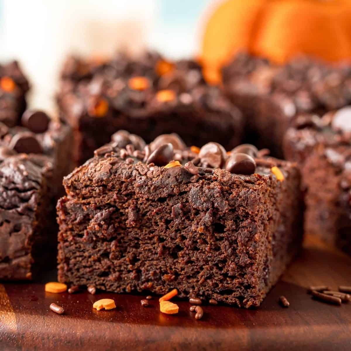 Chocolate Pumpkin Snack Cake Chocolate Pumpkin Snack Cake