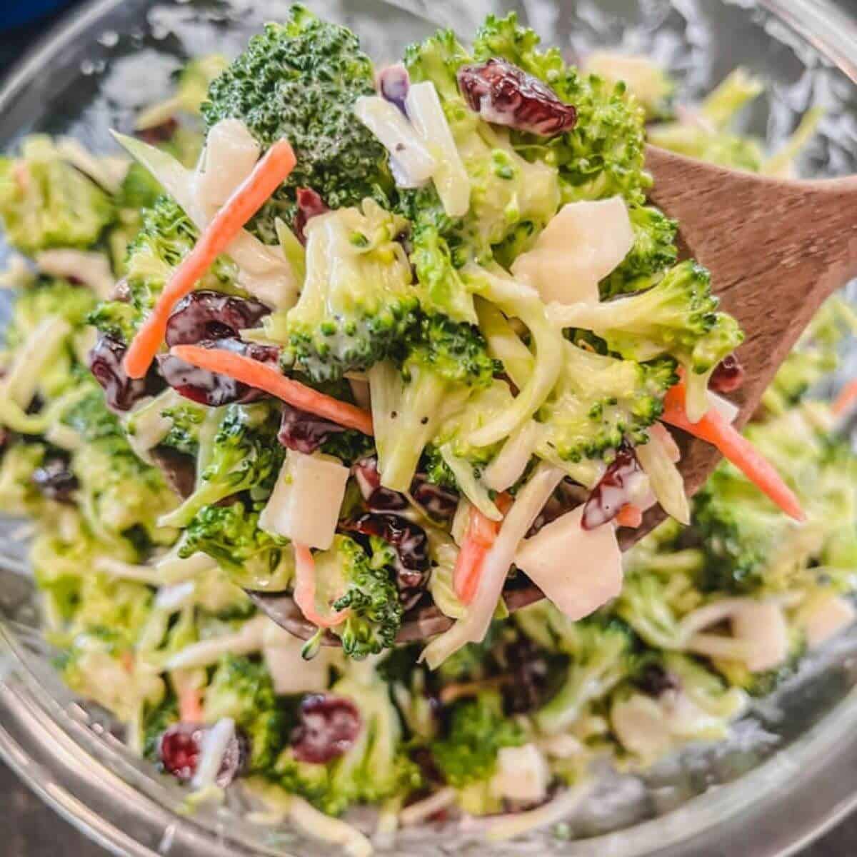 Creamy Broccoli Salad With Apples And Cranberries Creamy Broccoli Salad With Apples And Cranberries