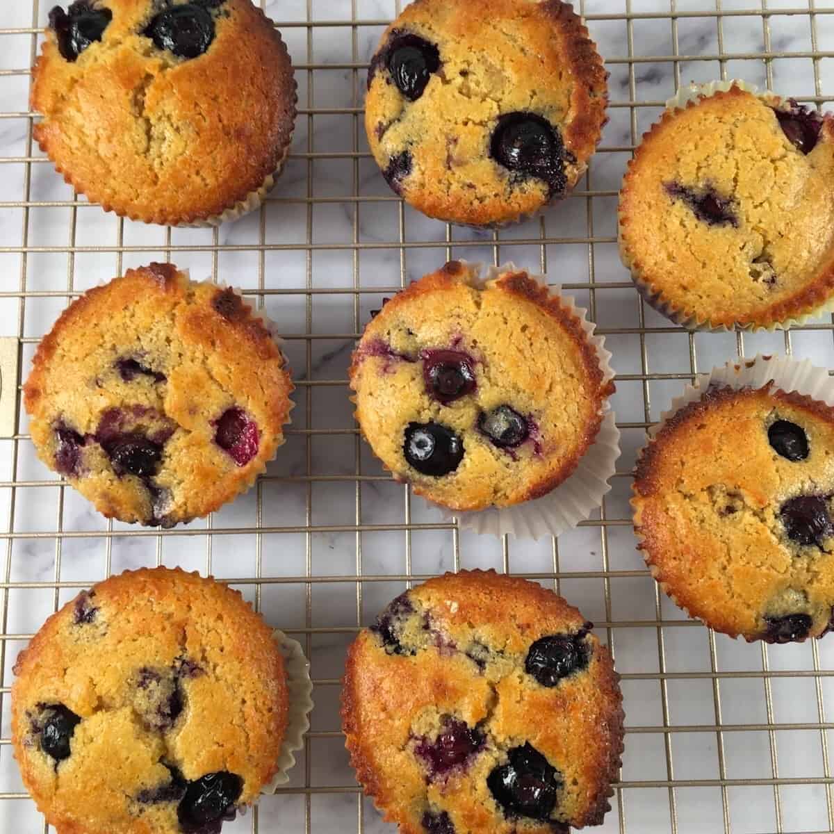 Kodiak Cakes Muffins Blueberry Protein Muffins Kodiak Cakes Muffins Blueberry Protein Muffins