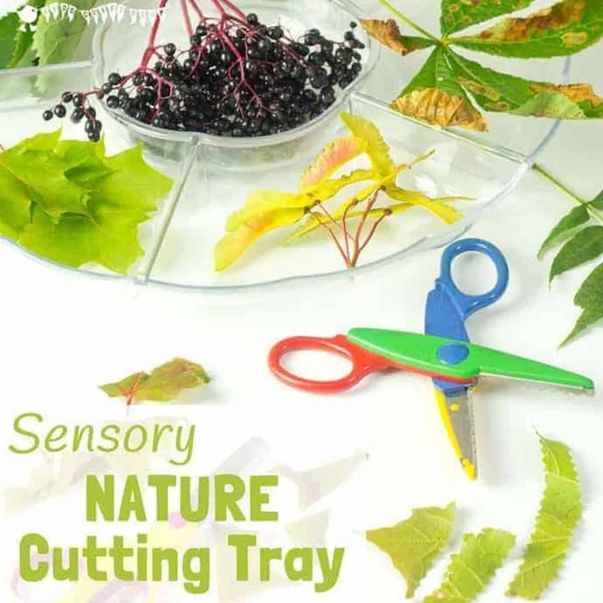 Sensory Nature Cutting Tray Sensory Nature Cutting Tray